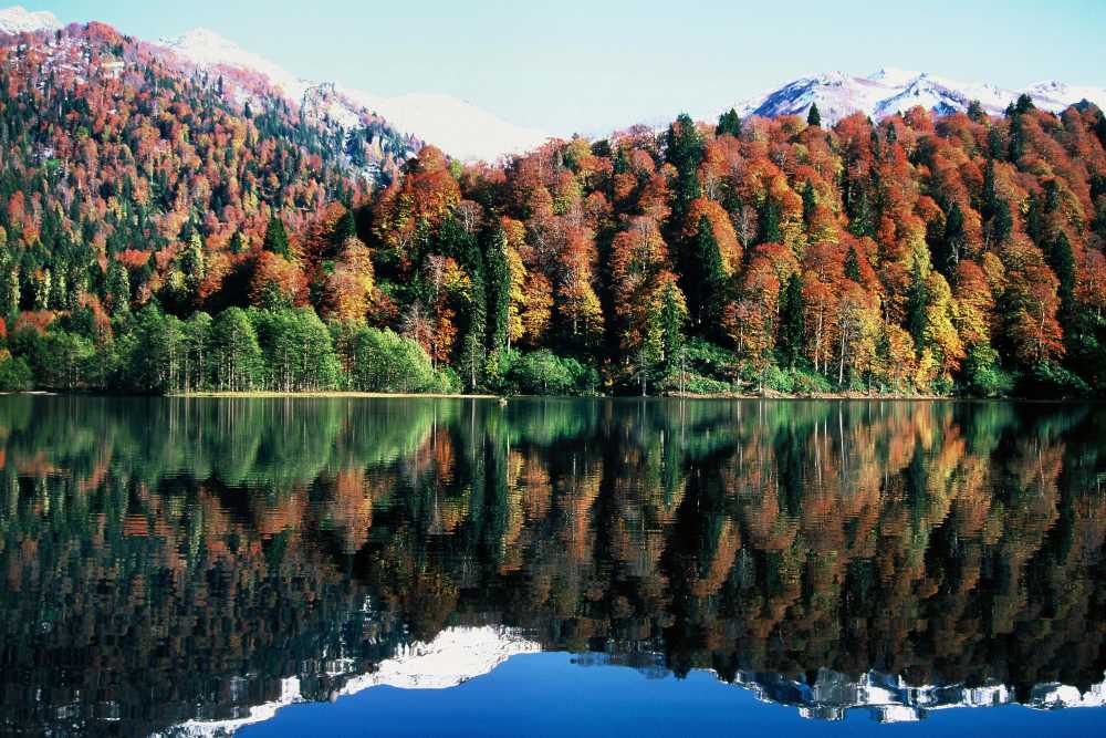  Uçaklı Butik Doğu Karadeniz Ve Batum Turu (1 Gece Batum 1 Gece Ayder Yaylası Konaklamalı)