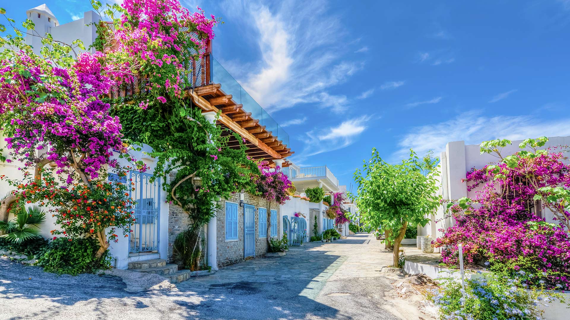 Uçaklı Rüya Gibi Ege Akdeniz Antalya Kaş Fethiye Ölüdeniz Marmaris Bodrum Turu (5 Gece Konaklamalı)