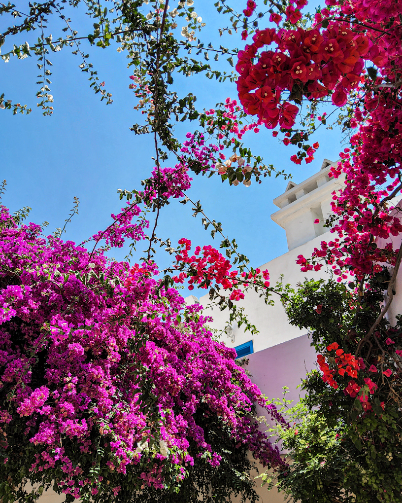 Ladonia Hotels Zemda Bodrum 4 Gece Otel Konaklamalı 