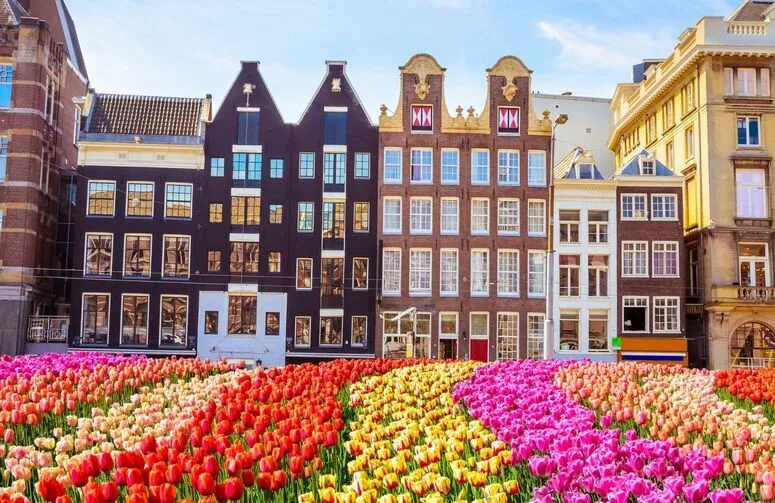 Kurban Bayramı Özel Elegant Benelux & Paris & Alsace THY İle 7 Gece (Ekstra Turlar Dahil)