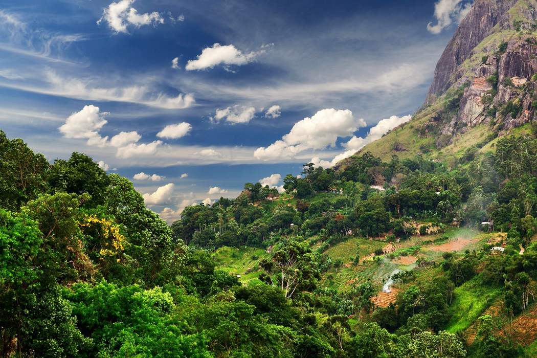 Elegant Srı Lanka Jazeera HY İle 5 Gece Ekstra Turlar Ve Akşam Yemekleri Dahil (CMB-CMB) 2026