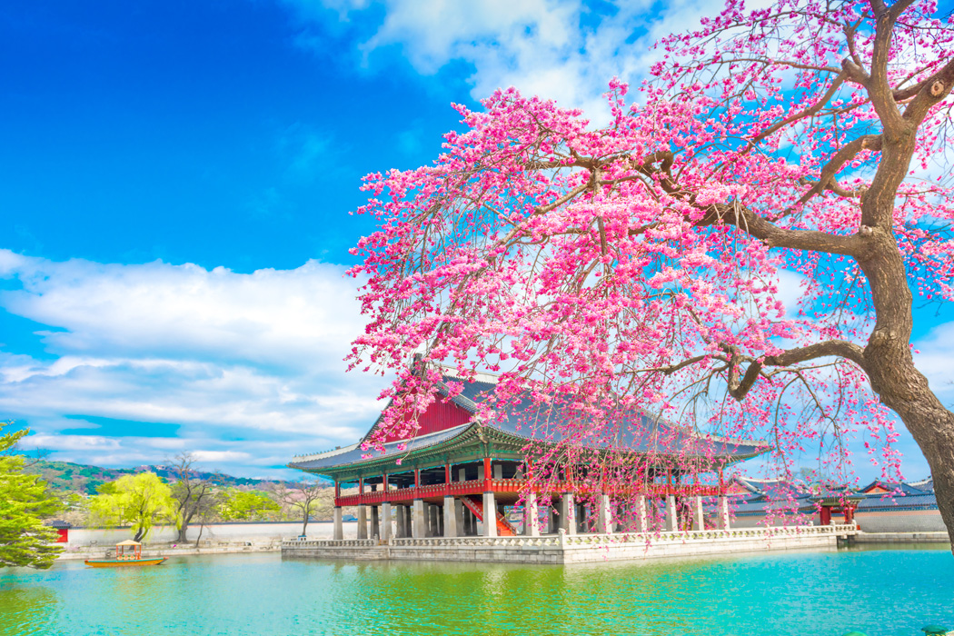 Elegant Japonya & Güney Kore Türk Hava Yolları ile 9 Gece (ICN-NRT) Ekstra Turlar Dahil 2026 Vizesiz