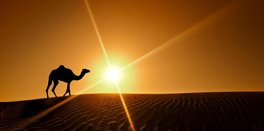 Vize Dahil Dubai Turu Ajet Havayolları İle 3 Gece Dubai ve Abu Dhabi İkonları Şehir Turları, Dubai Outlet Village Turu Dahil… 2025 & 2026 Kış (SHJ -SHJ) Vize Dahil Dubai Turu Ajet Havayolları İle 3 Gece Dubai ve Abu Dhabi İkonları Şehir Turları, Dubai Outlet Village Turu Dahil… 2025 & 2026 Kış (SHJ -SHJ)