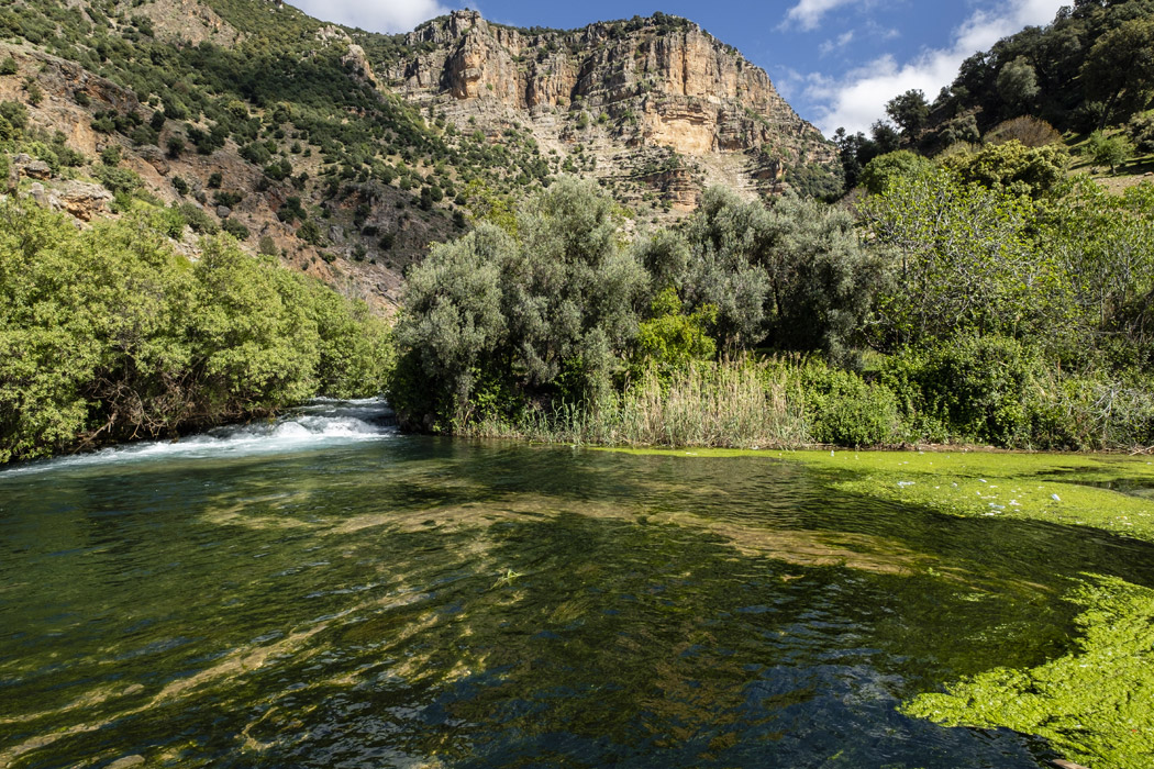 Elegant Fas Kraliyet Şehirleri Air Arabia Havayolları İle 5 gece Ekstra Turlar Dahil 2026 Dönemi