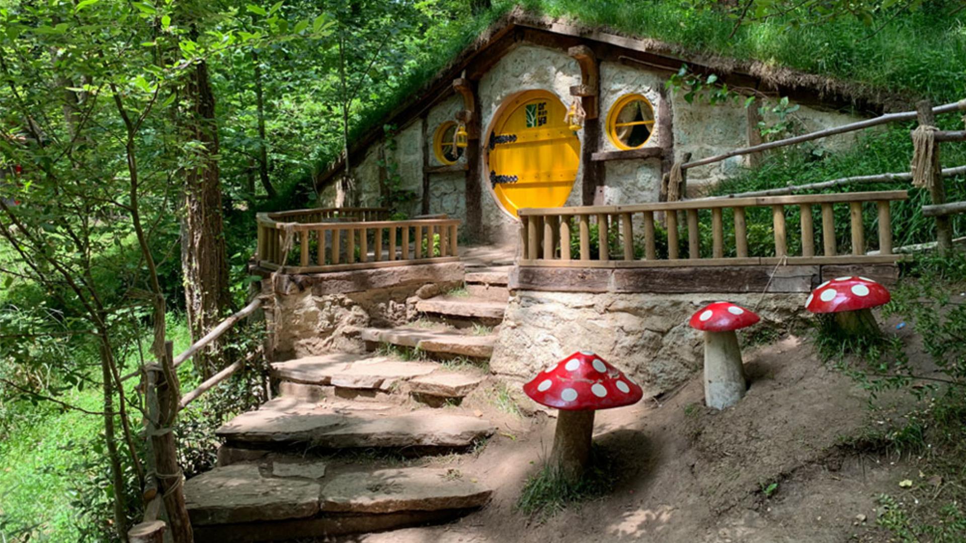 Yılbaşı Özel Dedeman Otel Konaklamalı Maşukiye Ormanya Turu ( Gala Dahil)