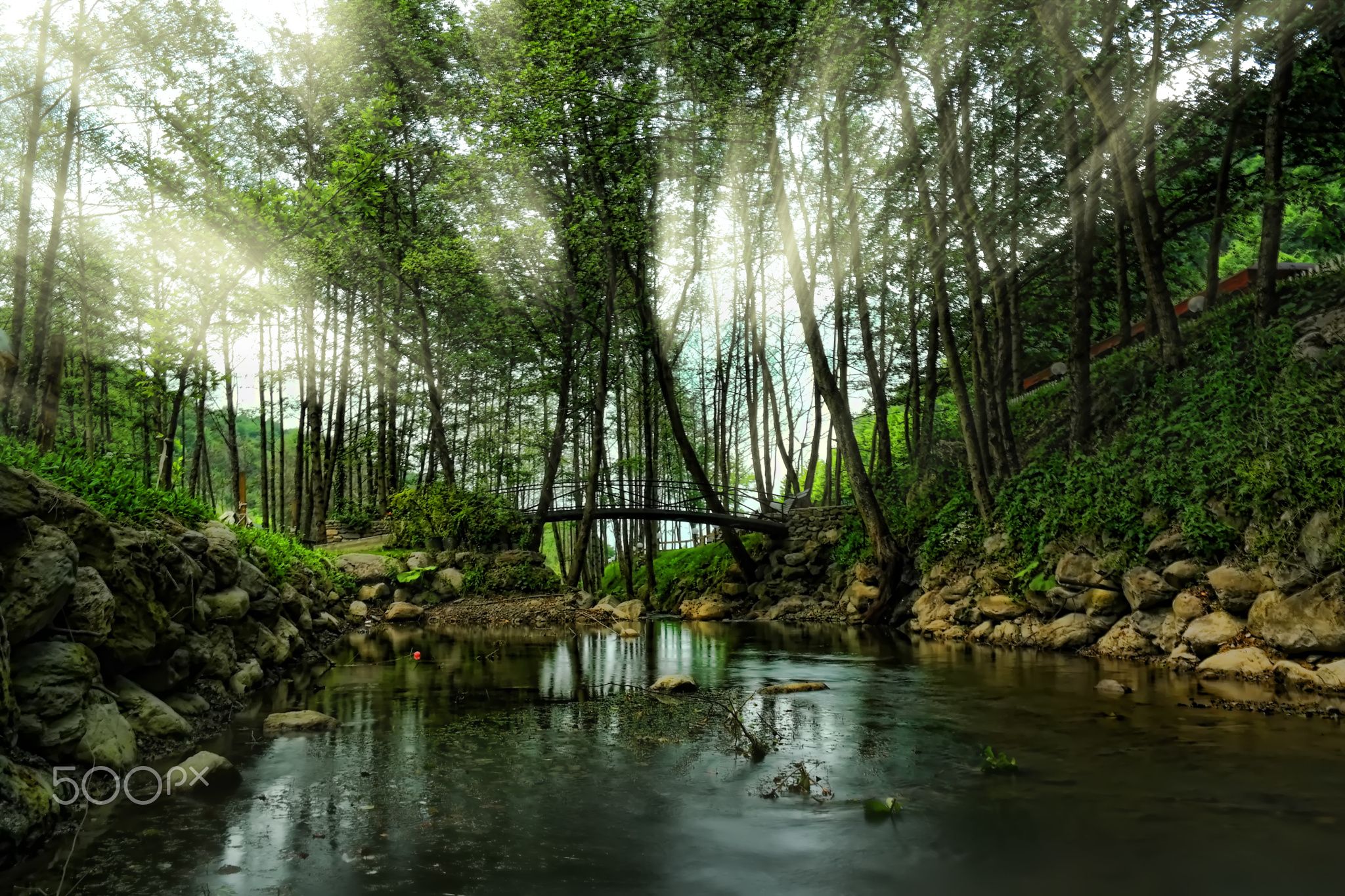 Yılbaşı Özel Dedeman Otel Konaklamalı Maşukiye Ormanya Turu ( Gala Dahil)