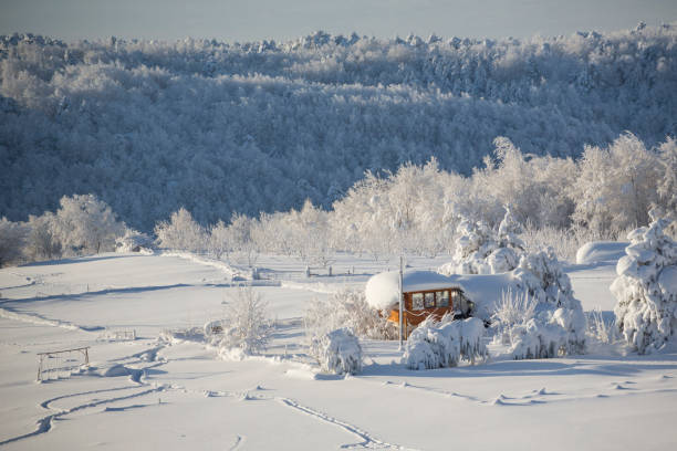 Sömestir Özel Royal Capital Otel Bursa Konaklamalı Uludağ Kayak Turu (2 Gece Otel Konaklamalı)