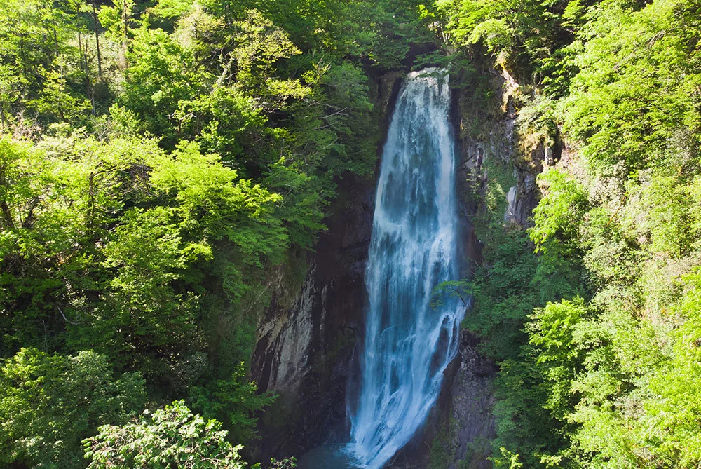 Uçaklı 5* Grand Bellagio Otel Konaklamalı Yılbaşı Özel Ayder Batum Turu 2 Gece 3 Gün