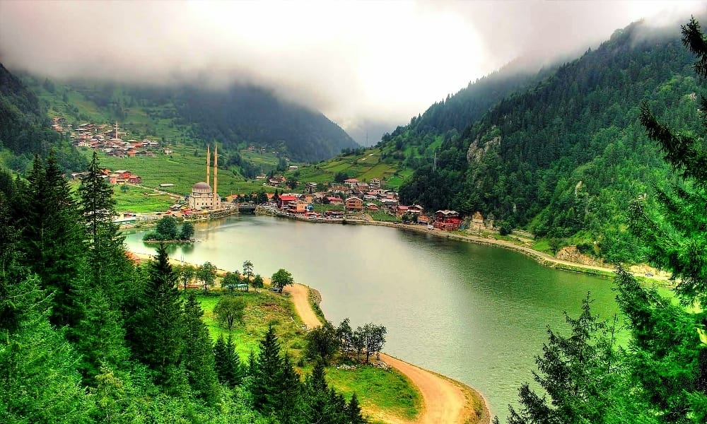 Yeşilin binbir tonunu keşfedin, Karadeniz’in yaylalarında serinliğe doyun!